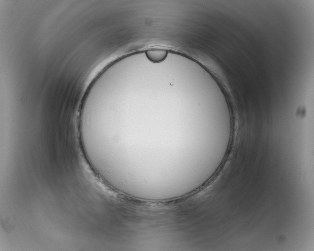 X0000113641190200909181322