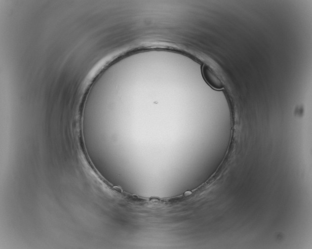 X0000113641191200909181322