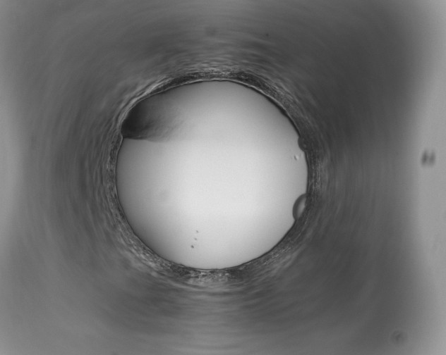 X0000113641201200909181321