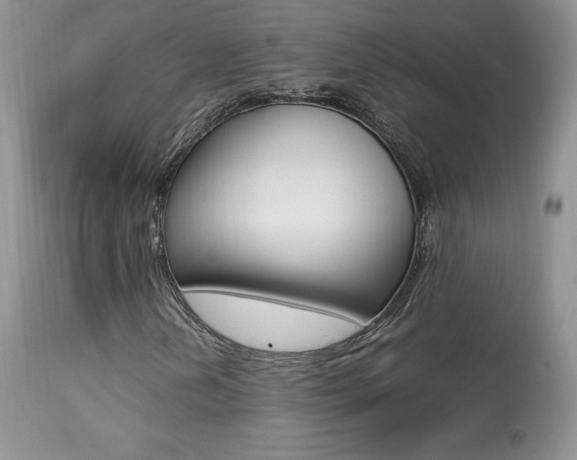 X0000113641202200909181321