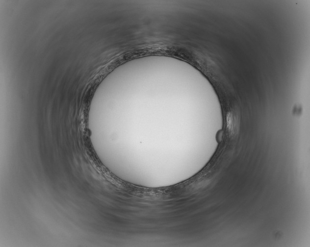 X0000113641203200909181321