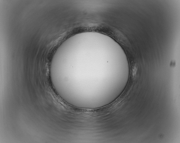 X0000113641204200909181321