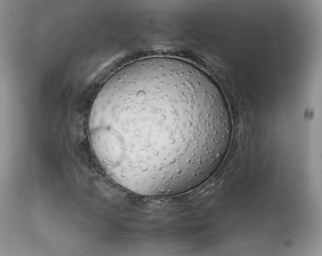 X0000113641205200909181321
