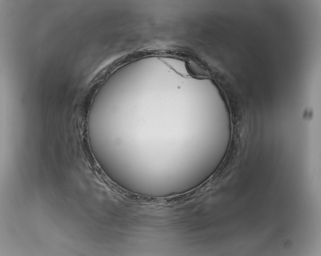 X0000113641206200909181321
