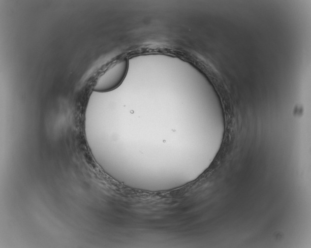 X0000113641207200909181321