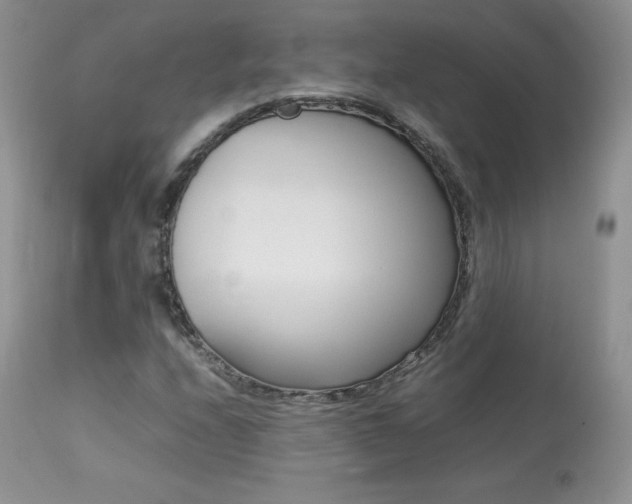 X0000113641208200909181321