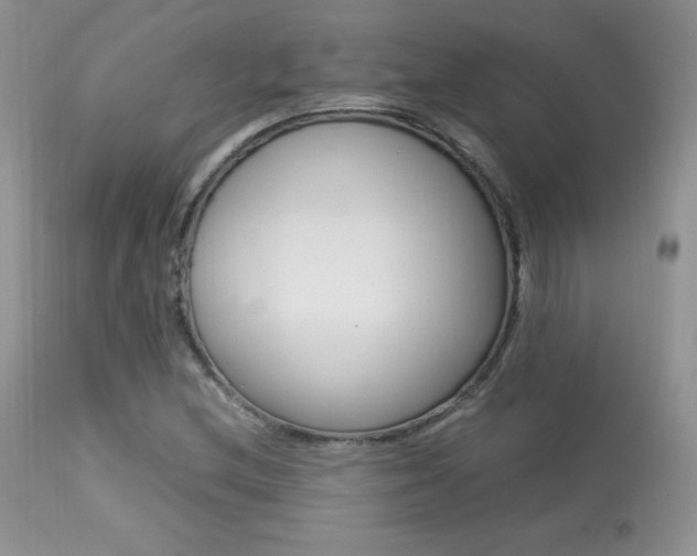 X0000113641212200909181321