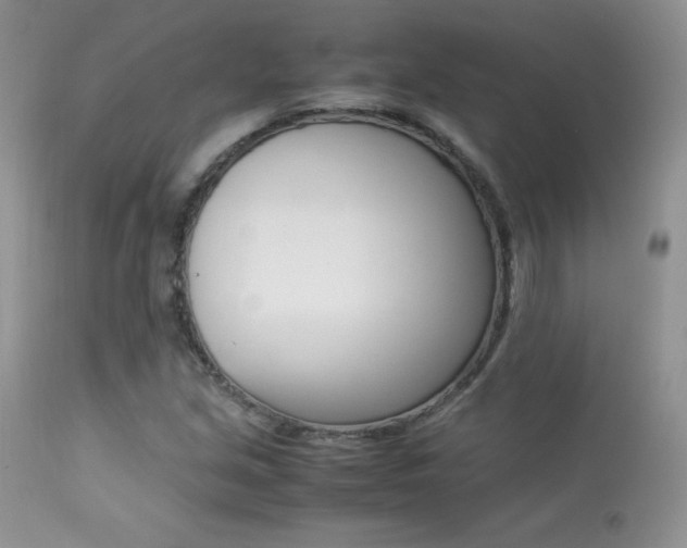 X0000113641213200909181321
