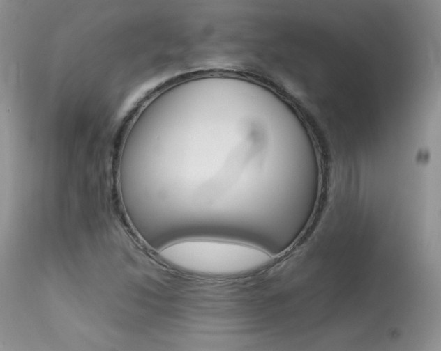 X0000113641214200909181321