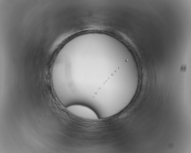 X0000113641215200909181321