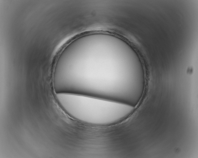 X0000113641216200909181321