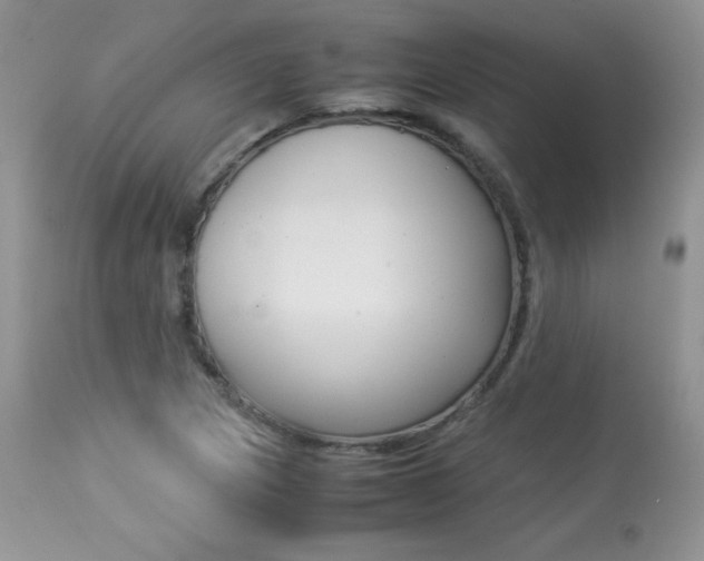 X0000113641217200909181321