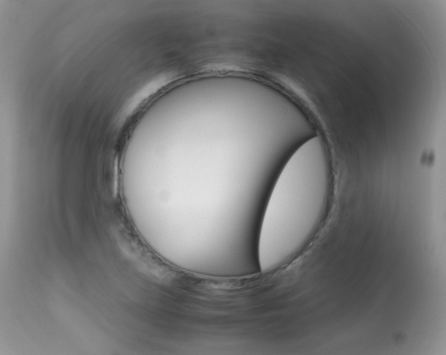 X0000113641219200909181321
