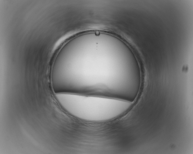 X0000113641222200909181321