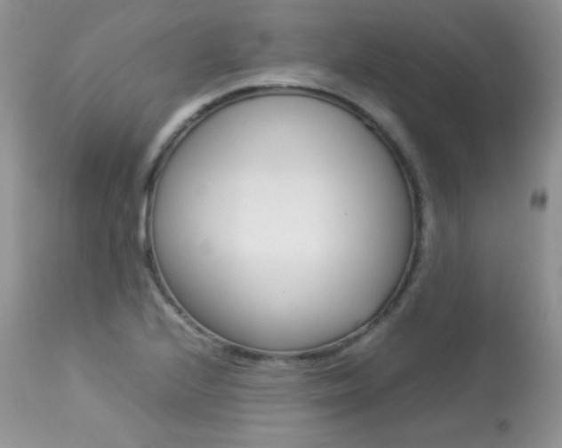 X0000113641224200909181321