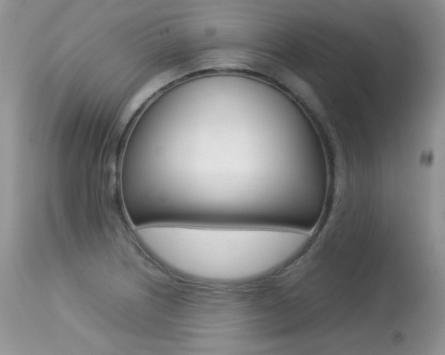X0000113641226200909181321