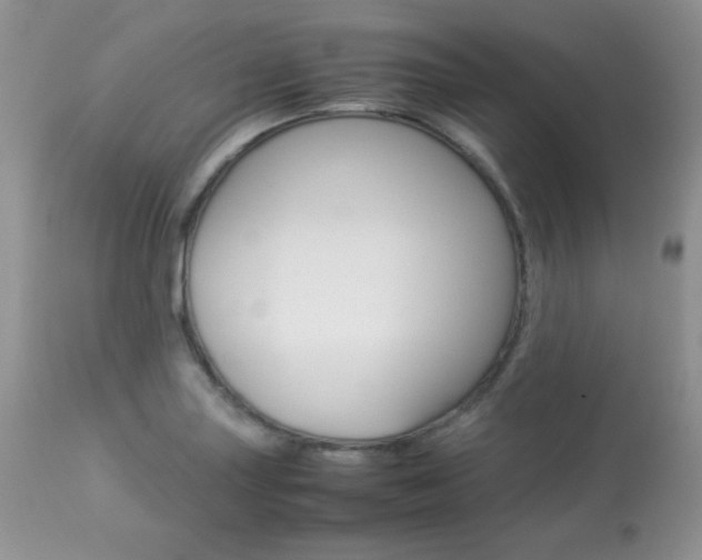 X0000113641227200909181321