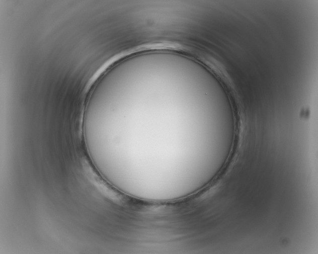 X0000113641228200909181321