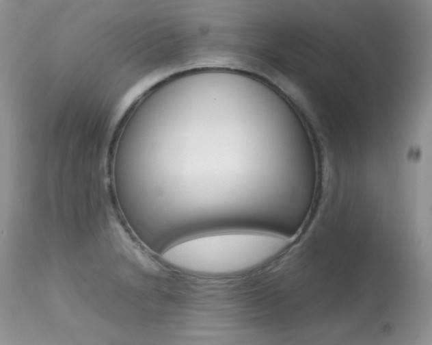 X0000113641230200909181321