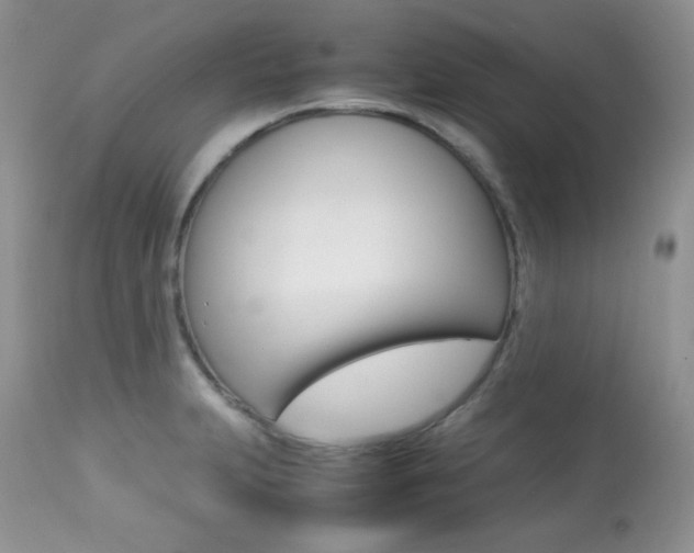 X0000113641231200909181321