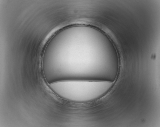 X0000113641232200909181321