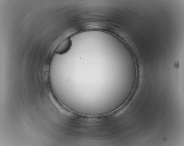 X0000113641233200909181321