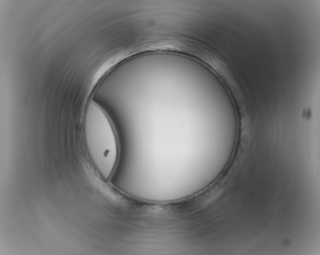 X0000113641234200909181321
