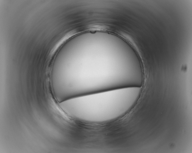 X0000113641235200909181321