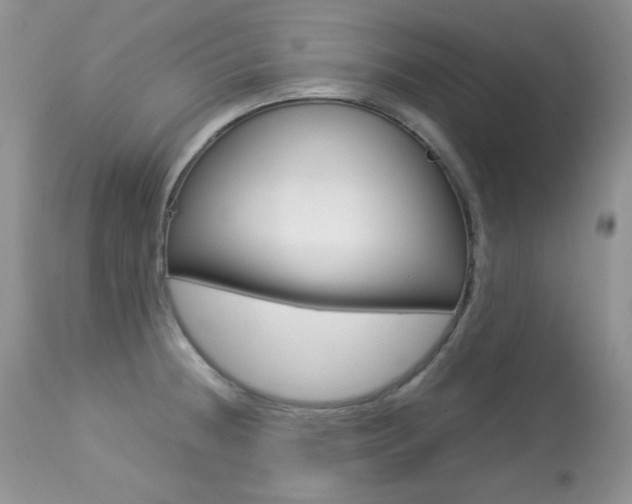 X0000113641236200909181321