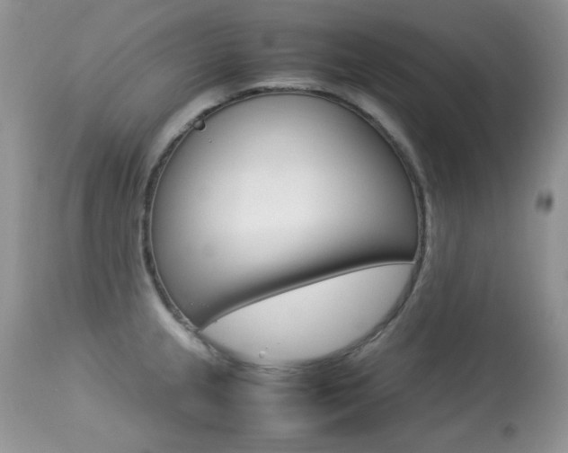 X0000113641237200909181321