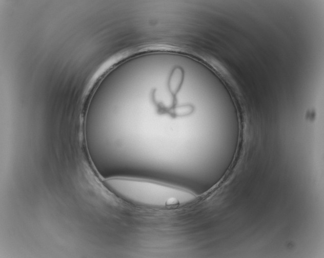 X0000113641238200909181321