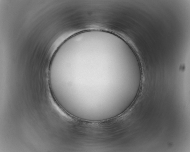 X0000113641239200909181321