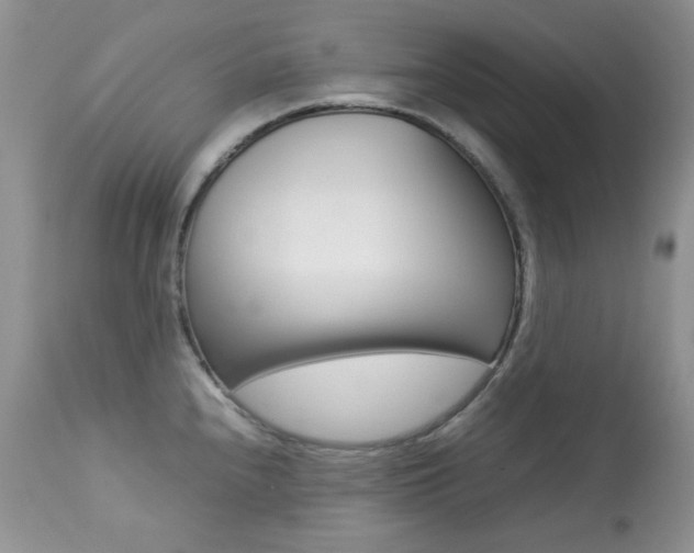X0000113641240200909181321