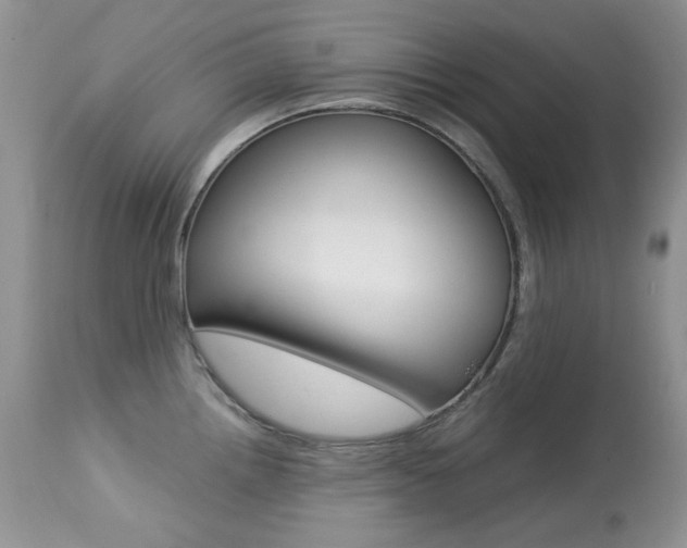 X0000113641242200909181321