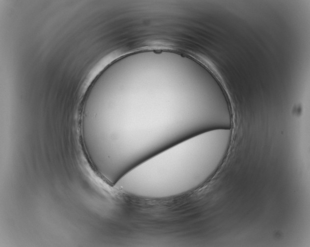 X0000113641243200909181321