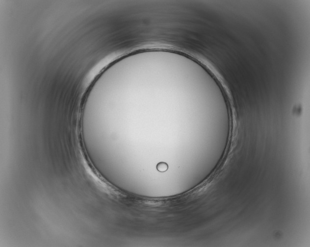 X0000113641245200909181321