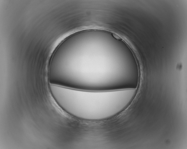 X0000113641246200909181321