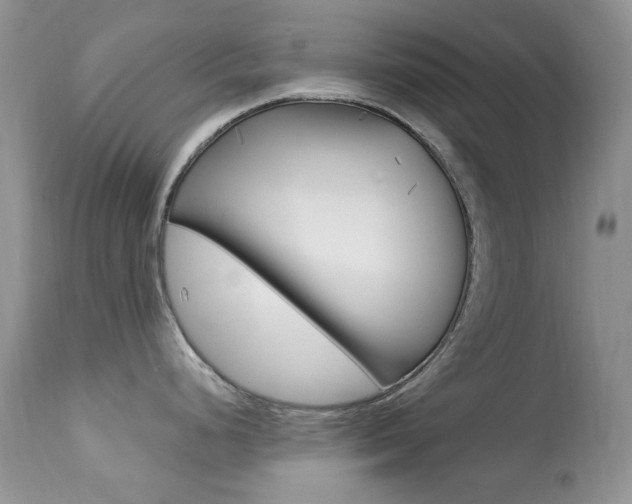 X0000113641248200909181321