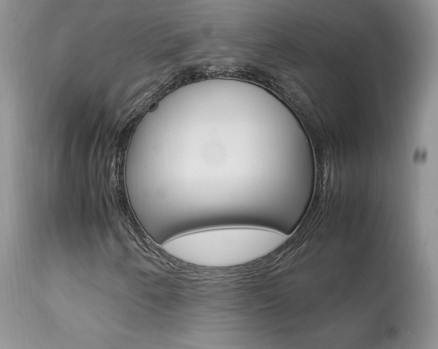 X0000113641250200909181321