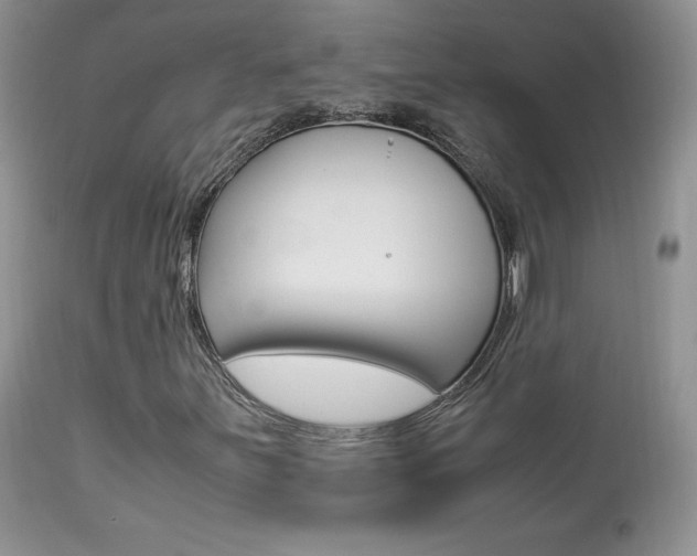 X0000113641251200909181321