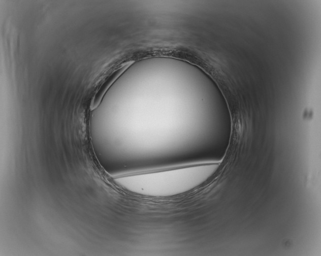 X0000113641252200909181321