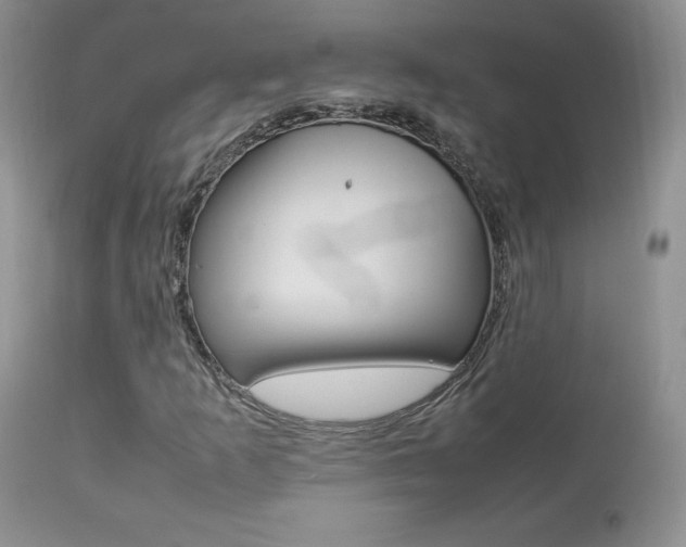 X0000113641253200909181321