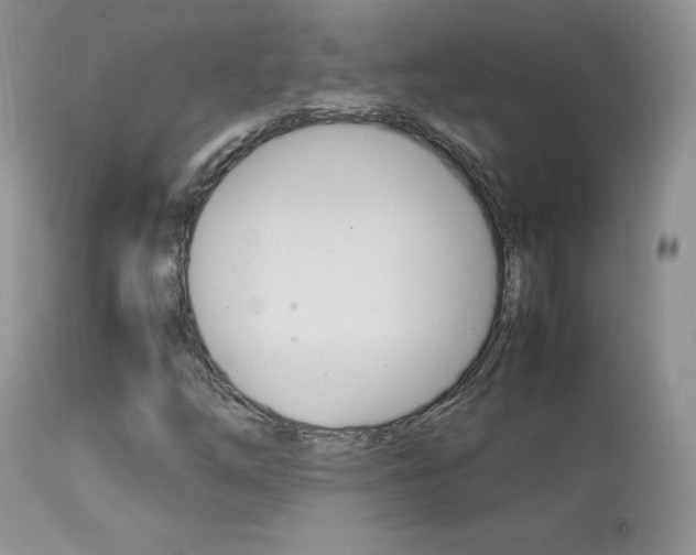 X0000113641254200909181321