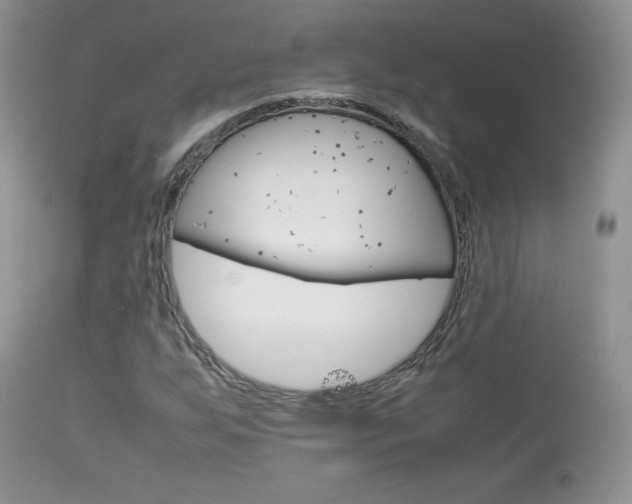 X0000113641255200909181321