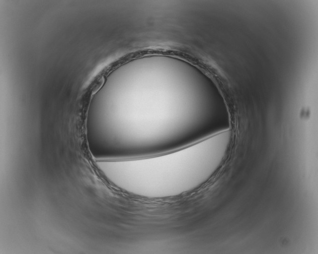 X0000113641256200909181321