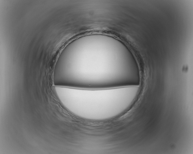 X0000113641257200909181321