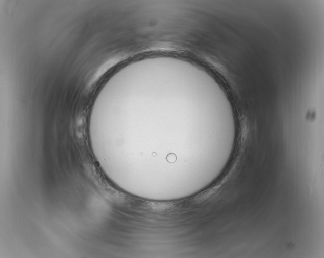 X0000113641258200909181321