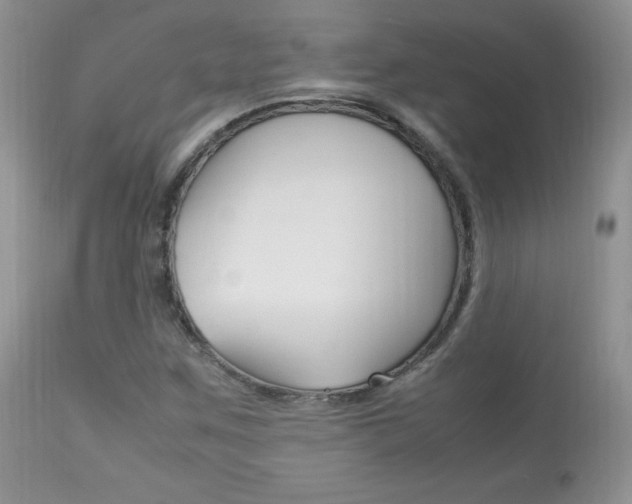 X0000113641259200909181321