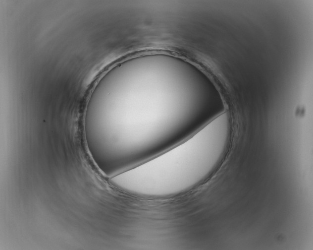 X0000113641260200909181321