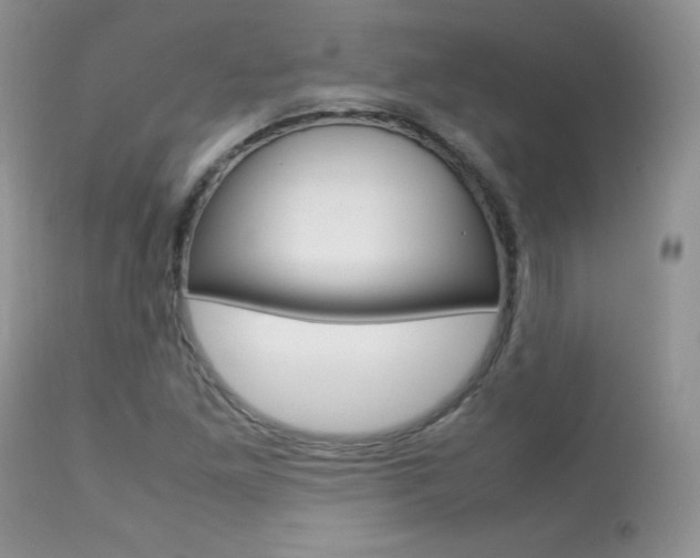 X0000113641261200909181321